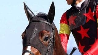 【チューリップ賞】ソルパッサーレは今後を占う重要な一戦　四位調教師「桜花賞の可能性は消したくないですから」