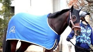 【中山記念】重賞連勝狙うカラマティアノス　奥村武調教師「状態は前走より良い」　唯一の前走勝利馬は勢い十分