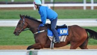 【中山記念／追い切り診断】闘志が前面に出た動きに「S」の最高評価　ベスト距離への回帰で“上昇ムード”