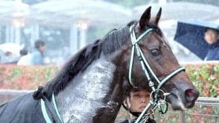 【注目馬動向】ウップヘリーアは毎日杯で重賞初挑戦へ　前走の内容を踏まえて自己条件から変更