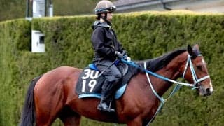 【マーガレットＳ】アスミルはスプリンターの素質あり　陣営「１２００メートルでも速さ負けしない」