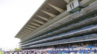 【小倉競馬・２８日の馬場】芝はコース内側が傷み差し馬向きの馬場を想定　ダートは水分を含みスピードある馬を重視