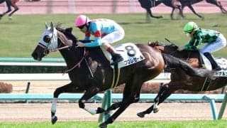 【中山６Ｒ・３歳１勝クラス】フロレセールが「開花」を予感させる快勝劇　ルメール騎手「距離が延びるのは問題ない」