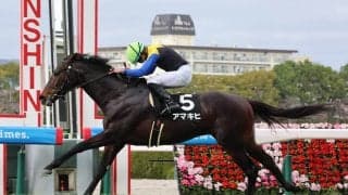 【阪神９Ｒ・松籟Ｓ】国枝調教師が最終週にアパパネの子アマキヒで勝利「ずっとやってきた血統で、金子さんだからね」