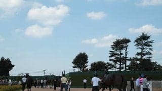 【オーシャンS結果】ペアポルックスが内から差し切り重賞初制覇