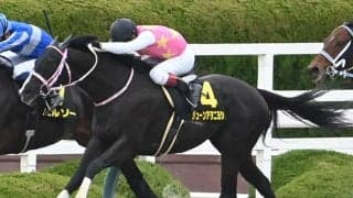 【仁川S結果】ジューンアヲニヨシが接戦を制しオープン初勝利