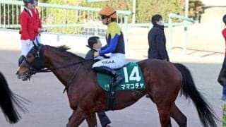 【オーシャンＳ】ママコチャは４着　レース史上初の連覇ならず　川田将雅騎手「最後まで精一杯がんばっています」
