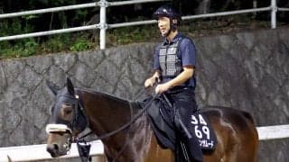 【注目馬動向】ドンインザムードがゴドルフィンマイルの招待を受諾　関西馬は４頭が出走