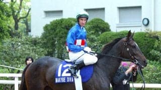 メルボルンＣ３連覇など豪Ｇ１・７勝の名牝マカイビーディーヴァが死す　０５年の天皇賞・春にも出走