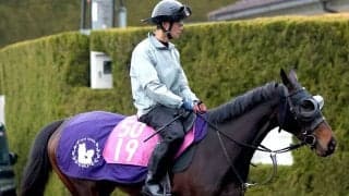 【チューリップ賞】武豊騎手×アランカールで桜切符を　斉藤崇調教師「勝たないと。本番に行きたいですから」