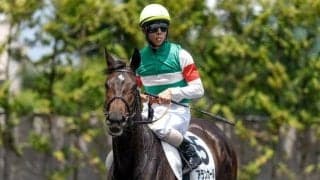 【チューリップ賞前日オッズ】アランカールが2.8倍で1番人気