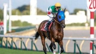 【中山記念前日オッズ】セイウンハーデスとレーベンスティールが4.2倍で1番人気