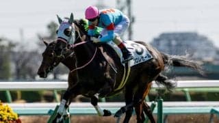 【中山6R】レイデオロ産駒 フロレセールが断然の支持に応える