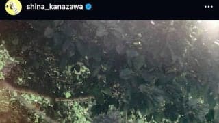 人気女子プロゴルファー　金沢志奈が結婚を発表　インスタに２ショット写真　「より一層精進」