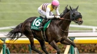 【今日の注目ポイント】中山で中山記念と阪神でチューリップ賞