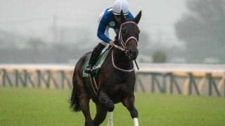 【チューリップ賞予想】桜の切符は譲れない 阪神JFの雪辱を誓う実力馬と底知れぬ新星が激突