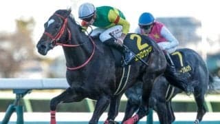 【中山記念予想】傾向を分解すると見えてくる？ 過去データで探るGII中山記念