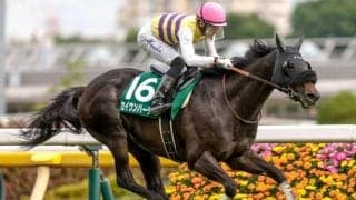 中山記念は内枠有利 セイウンハーデス狙いが常道だが…