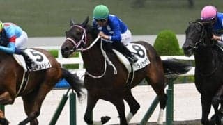 阪神芝のトラックバイアスは？ チューリップ賞はタイセイボーグが軸に最適だ