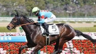 【阪神６Ｒ・３歳１勝クラス】母は豪Ｇ１馬のコンジェスタスが横綱相撲で連勝　西村淳也騎手「強かった。そのひと言」