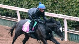 日曜阪神競馬場の注目激走馬…阪神１１Ｒチューリップ賞・Ｇ２