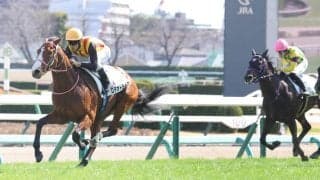 【中山７Ｒ・３歳１勝クラス】ロデオドライブが１分３２秒１の好タイムで３馬身差完勝　津村騎手「上でも十分やれる」