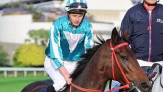 【香港・ゴールドＣ】獲得賞金は５１億円突破！香港最強馬のロマンチックウォリアーが圧勝！　２６年の香港２冠目　