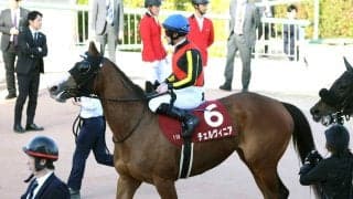 【中山記念】ペース上がらず...チェルヴィニア５着にルメール騎手は「もう少し前のポジションが欲しかった」と悔やむ