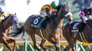 【中山牝馬S】ボンドガール、ステレンボッシュらが登録