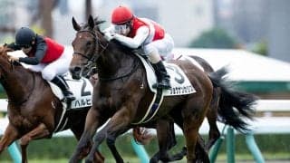 【フィリーズレビュー】マルガ、ショウナンカリスらが登録