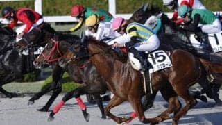 【阪神12R】武豊ボディブローがハナ差競り勝つ