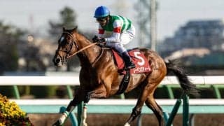 WIN5は2181票的中と堅調…第100回中山記念はレーベンスティールがV