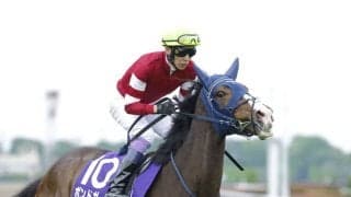 【中山牝馬S登録馬】混戦必至のハンデ戦！ボンドガールなど18頭