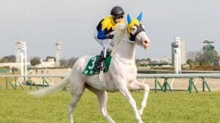 【フィリーズレビュー登録馬】白毛馬マルガなど28頭