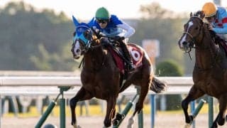 【弥生賞登録馬】アドマイヤクワッズなど12頭