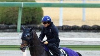 【報知杯弥生賞・理貴の特注馬】素質確かなバステールの躍進に期待　ここで結果を出しクラシック戦線へ