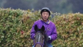 【報知杯ＦＲ・ヤマタケの特注馬】いまや現３歳世代の「出世レース」での好走実績は侮れないサンアントワーヌ