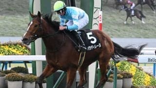 【中山牝馬S見どころ】GI好走のパラディレーヌが重賞初制覇を狙う