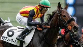 【フィリーズレビュー見どころ】ベストの距離で力を発揮するサンアントワーヌ