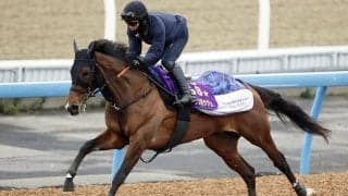 【中山牝馬Ｓ・浅子の特注馬】宮田厩舎に転厩したステレンボッシュ　フォームの変化が復調のサイン！？
