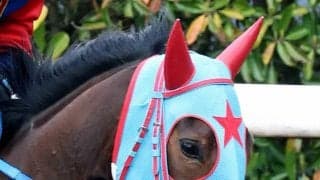 ２４年関東オークスＶアンデスビエントが競走馬登録抹消　レイクヴィラファームで繁殖入り　引退の西園正調教師の管理馬