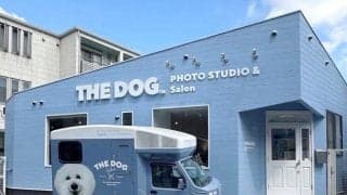 大人気だワン！インスタフォロワー１０万人超の看板犬「ぱんちゃん」ラッピングのペットトリミングワゴン登場　飼い主はＪ２藤枝・槙野智章監督