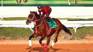 緊迫する中東のドバイでフォーエバーヤングはコースを周回　陣営「人馬とも穏やかに過ごしています」