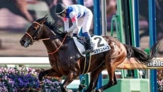 【AI予想・弥生賞】能力の底を見せていないことが好走条件!? ポテンシャルや適性の高さを感じる人工知能の本命候補