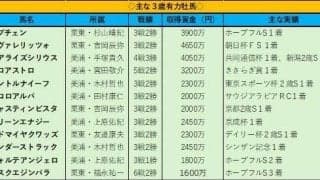 皐月賞馬候補にリアライズシリウス挙げたＰＯＧ記者の注目馬は？　報知杯弥生賞を前に実力伯仲の牡馬クラシック戦線を占う