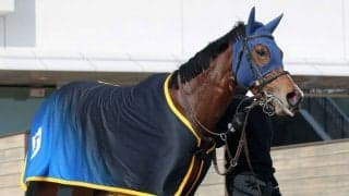 【報知杯ＦＲ】２０分の１０の抽選対象も...機動力あるメルメラーダ出走なら面白い存在　陣営「前走より具合はいい」