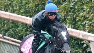 【注目馬動向】チューリップ賞２着のナムラコスモスは優先出走権獲得の桜花賞へ　鞍上は引き続き田口貫太騎手