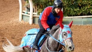 ビッグシーザーは杉山晴厩舎、フィオライアは新規開業の柴田厩舎へ転厩　西園正調教師が定年引退のため