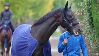 先週の松籟Ｓを制した名牝アパパネの子アマキヒは新規開業する橋田宜長厩舎へ転厩　国枝調教師が定年引退のため