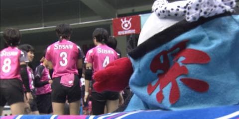【愛知代表決定戦】女子　誠信vs岡崎学園